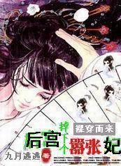 穿越后宫轻