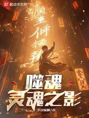 噬魂：灵魂之影