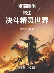 资深牌佬转生决斗精灵世界