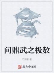 问鼎武之极数