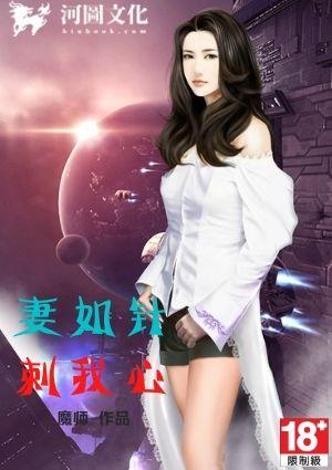 妻如针，刺我心