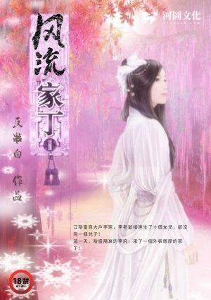 风流家丁